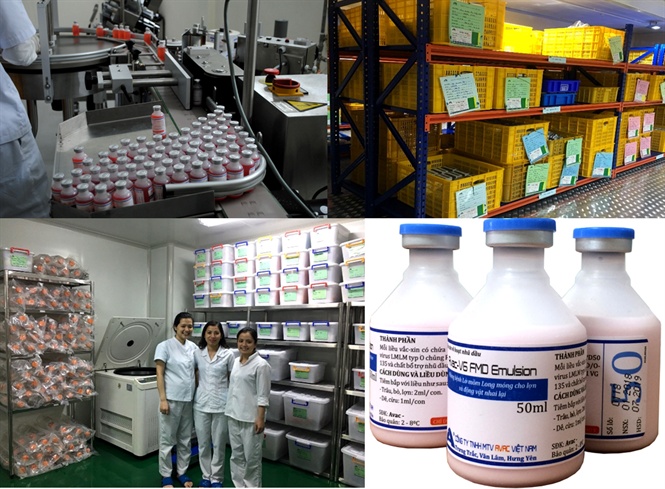 Lần đầu tiên Việt Nam sản xuất thành công vacxin Lở mồm long móng