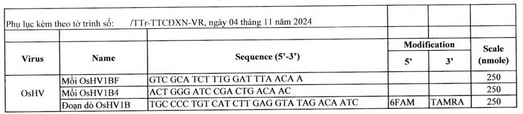 trinh-tu-primer-va-probe-oshv-2